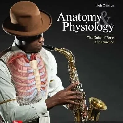 Saladin Anatomy and Physiology (10th Edition) – PDF